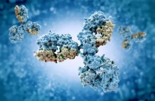 贝伐珠单抗生物类似药为妇瘤患者带来高性价比新选择