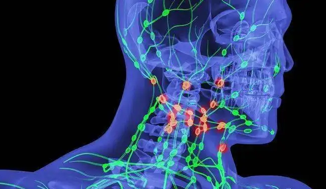 肿瘤术后复查发现淋巴结是否为转移？哪种淋巴结风险最高？